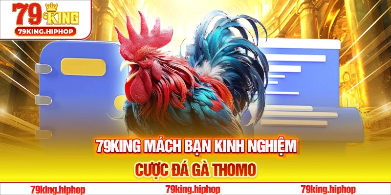 79King mách bạn kinh nghiệm cược đá gà Thomo