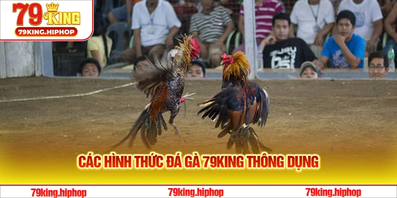 Điểm qua các hình thức đá gà 79King thông dụng
