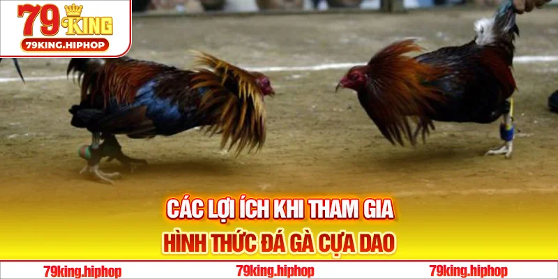 Các lợi ích khi tham gia hình thức đá gà cựa dao
