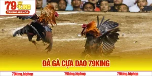 Đá Gà Cựa Dao 79King - Những Kèo Cược Kịch Tính