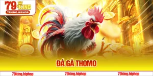 Đá Gà Thomo Tại Sân Chơi 79King Ngập Tràn Ưu Đãi