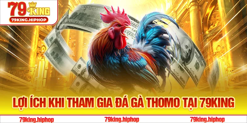 Lợi ích khi tham gia đá gà Thomo tại 79King