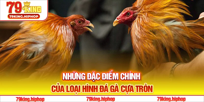 Những đặc điểm chính của loại hình đá gà cựa tròn