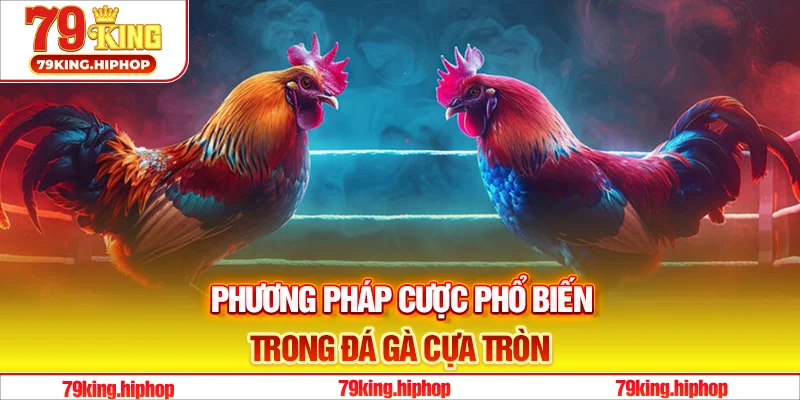 Một số phương pháp cược phổ biến trong đá gà cựa tròn