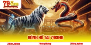 Rồng Hổ Tại 79King - Trải Nghiệm Đỉnh Cao Độc Đáo