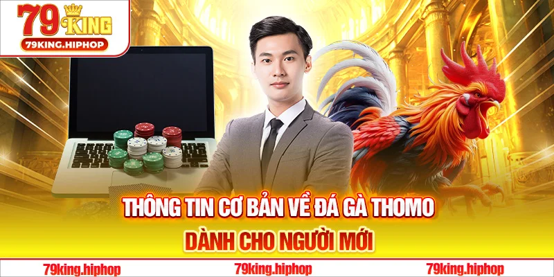 Thông tin cơ bản về đá gà Thomo dành cho người mới